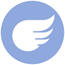 Flying Type