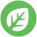 Grass Type