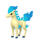 Ponyta