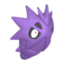 Pupitar