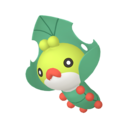 Sewaddle