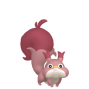 Skwovet