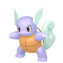 Wartortle