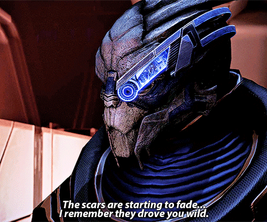 a gif of Garrus, speaking to Shepard, touching his face and saying 'The scars are startinig to fade... I remember they drove you wild.' 