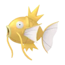 Magikarp