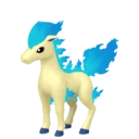 Ponyta