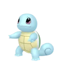 Squirtle